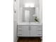 Modern bathroom featuring a vanity with drawers and a white countertop, along with a decorative mirror and plants at 670 Willoughby Ne Way, Atlanta, GA 30312