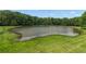 Scenic view of a tranquil pond surrounded by lush green grass at 14501 Woolsey Rd, Hampton, GA 30228