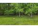 Wildlife! Deer in a spacious yard with a backdrop of lush trees at 14501 Woolsey Rd, Hampton, GA 30228