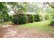 Grassy backyard surrounded by mature trees offering a serene outdoor space at 127 Perry St, Loganville, GA 30052
