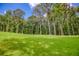 Lush green backyard is surrounded by tall trees and open space at 410 Iroquois Ct, Covington, GA 30014