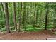 Backyard with lots of mature trees, ready for a new landscape design at 1765 Redbud Way, Cumming, GA 30041