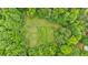 Aerial view of property featuring a vineyard with mature grape vines at 144 Wiley Dr, Douglasville, GA 30134