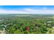 Expansive aerial view of the property surrounded by lush trees and mature vineyard at 144 Wiley Dr, Douglasville, GA 30134
