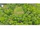 Beautiful aerial view of lush landscaping, mature trees and vineyard at 144 Wiley Dr, Douglasville, GA 30134