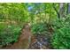Picturesque view of a gentle stream winding through a lush, green forest at 144 Wiley Dr, Douglasville, GA 30134