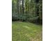 View of the large, lush backyard with a mix of grasses and ground cover at 1750 Beechwood Sw Blvd, Atlanta, GA 30311