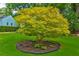 Lush front yard featuring a beautiful Japanese maple tree with fresh mulch and border at 135 Martha Ne Ave, Atlanta, GA 30317