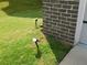 Newly installed backyard landscape lighting adjacent to the house at 330 La Perla Dr, Sugar Hill, GA 30518