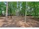 Expansive backyard with mature trees and a charming home visible in the background at 3366 English Oaks Nw Dr, Kennesaw, GA 30144