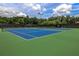 Outdoor tennis courts with professional surfacing, surrounded by fencing and mature trees at 4460 Greycliff Pte, Douglasville, GA 30135