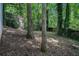The backyard has a wooded area with a foliage barrier surrounding the yard at 2721 Glenvalley Dr, Decatur, GA 30032