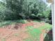 View of the home's wooded backyard and serene natural setting from the porch at 49 Hampton Dr, Cartersville, GA 30121