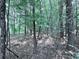 Wooded area is filled with trees and shade at 49 Hampton Dr, Cartersville, GA 30121