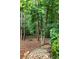 Scenic backyard featuring a stone and gravel pathway surrounded by mature trees and a wooden fence at 32 Pullman Trl, Acworth, GA 30101