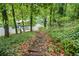 Wooden steps lead to the lakefront through a green, wooded landscape at 6900 Driskell Cir, Cumming, GA 30041