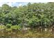 View of trees and the lake behind the property at 1587 Red Fox Sw Run, Lilburn, GA 30047
