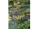 Scenic backyard with lush landscaping, flowers, and a tranquil pond at 2736 Whisper Trl, Douglasville, GA 30135