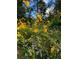Lush garden with vibrant yellow and purple wildflowers in a natural setting at 2736 Whisper Trl, Douglasville, GA 30135