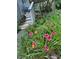 Beautiful flowerbeds with colorful blooms and lush green foliage at 2736 Whisper Trl, Douglasville, GA 30135