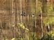 Picturesque pond with ducks swimming in the water, surrounded by trees at 2736 Whisper Trl, Douglasville, GA 30135