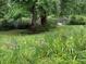 Lush greenery surrounds the serene pond with a small dock at 2736 Whisper Trl, Douglasville, GA 30135