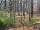 Wooded area of the property, perfect for nature lovers at 2736 Whisper Trl, Douglasville, GA 30135