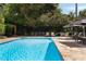 Beautiful backyard pool with comfortable lounge seating, umbrellas and manicured landscape at 1656 N Pelham Ne Rd, Atlanta, GA 30324