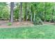Expansive backyard with lush green grass and mature trees, offering privacy and space at 10195 Brier Mill Ct, Alpharetta, GA 30022