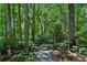 A peaceful garden path winding through the trees at 1382 Murrays Loch Nw Pl, Kennesaw, GA 30152