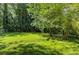 Large backyard with green grass and mature trees that create a peaceful oasis at 1914 North Nw Ave, Atlanta, GA 30318