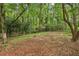 The wooded area of the backyard features ground cover and natural elements at 980 Hightower Trl, Sandy Springs, GA 30350