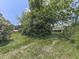 Lush backyard featuring mature trees and green grass, offering privacy and a serene outdoor space at 14367 Fincher Rd, Canton, GA 30114