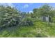 Green backyard with mature trees and outbuilding, creating a private and shaded outdoor area at 14367 Fincher Rd, Canton, GA 30114