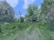 View of the yard on a mostly sunny day, partially overgrown with some trees and a residence at 14367 Fincher Rd, Canton, GA 30114
