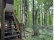 Backyard stairs with overgrown foliage and mature trees provide a woodsy retreat and privacy at 372 Nalley Dr, Stone Mountain, GA 30087