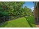 Lush green backyard with an iron fence offers a serene outdoor space for relaxation and recreation at 3405 Camellia Ln, Suwanee, GA 30024