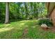 Expansive backyard featuring lush green grass and privacy provided by mature trees at 4323 Japonica Sw Ct, Lilburn, GA 30047