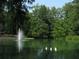 Picturesque pond with ducks and a fountain surrounded by lush greenery at 2 Silver Leaf Trl, Douglasville, GA 30134