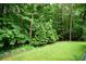Lush backyard featuring mature trees and a well-maintained lawn perfect for outdoor activities at 3409 Shorelake Dr, Tucker, GA 30084