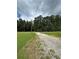 Gravel driveway leading to a property surrounded by lush greenery and mature trees at 1631 Billy Bullock Rd, Dallas, GA 30157