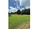 Spacious front yard featuring a green lawn and mature trees, extending to the roadway at 1631 Billy Bullock Rd, Dallas, GA 30157