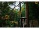 Lush backyard with ambient tree lighting, a heat lamp, and mature trees for a tranquil setting at 796 Piedmont Ne Way, Atlanta, GA 30324
