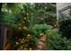 Well-maintained backyard with lush greenery, a stone pathway, and subtle outdoor lighting at 796 Piedmont Ne Way, Atlanta, GA 30324