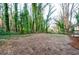 A partially cleared backyard shows the lot's potential, bordered by tall, mature trees at 2895 Akron St, Atlanta, GA 30344