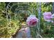 Beautiful garden pathway featuring rose-covered arches with lush flowers and greenery at 4030 Greatwood Path, Alpharetta, GA 30005
