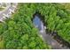 Aerial view of lush green treetops surrounding a peaceful pond and small pier at 4189 Brookmont Way, Auburn, GA 30011