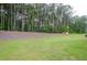 A large backyard with manicured lawn bordering a line of mature trees at 3405 Linstead Ct, Loganville, GA 30052