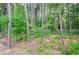 Trees fill the property and provide shade to the foliage-filled area at 3405 Linstead Ct, Loganville, GA 30052