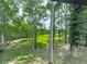 A backyard view with lush green lawn and surrounded by trees at 337 Theodore Cox Cir, Canton, GA 30114
